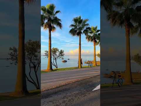 “the calming atmosphere of the waves”#shorts#beach