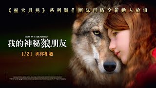 《靈犬貝兒》系列製作團隊動人新作【我的神秘狼朋友】正式預告｜1/21 與你相遇