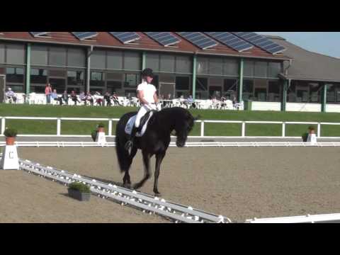 FÜRSTEN-LOOK & Isabel Freese - 1. Sichtung zur WM der jungen Dressurpferde 2016