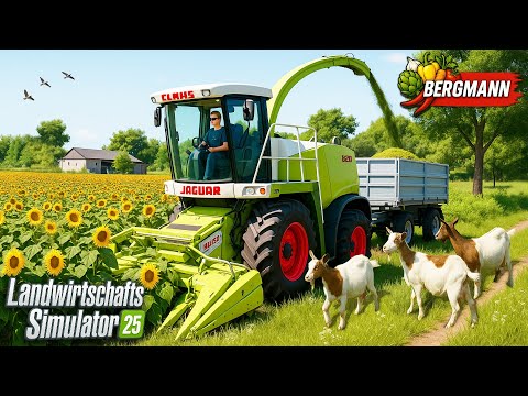 I spent 3 years building a family farm! Farming Simulator 25
