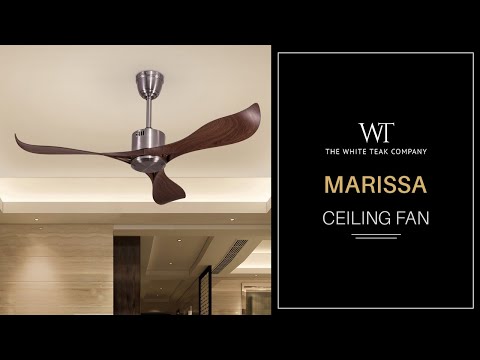 Marissa Ceiling Fan | designer Ceiling Fans | White Teak