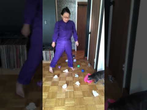 Scatter Search Tutorial - Nosework Cats