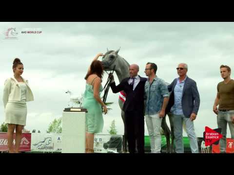 3rd PLACE N.51 RAOUD ALBIDAYER - Chantilly 2017 World Cup - Colts Championship (Class 15)