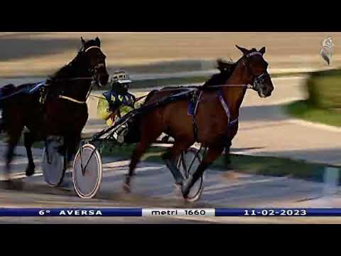 Aversa trotto 11 Febbraio 2023 - 6° Corsa