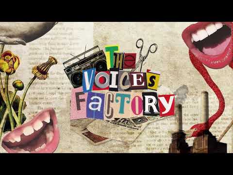 Succulents propagation