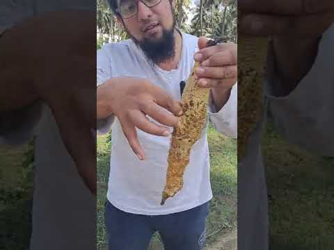 Pure Raw Littlebee Honey