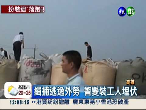 警變裝採芭樂工人 追捕非法外勞