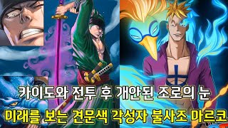 [원피스 1022화 심층분석]카이도와의 전투 후 개안된 조로의 눈 견문색 최고각성자 마르코