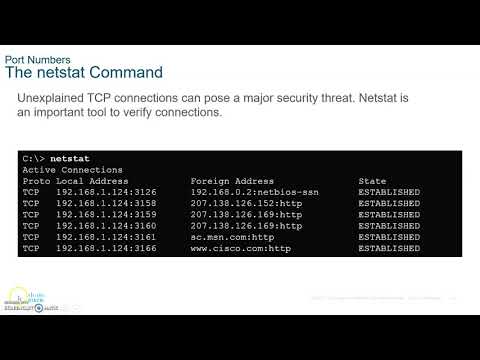 CCNA 7 ITN- Introduction to Networks- Module 14 Transport Layer