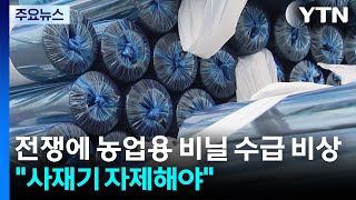 전쟁 여파 농업용 비닐 수급 '비상'...사재기 자제해야 / YTN