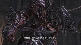 ［DDON］新EM降臨せし闇 3分24秒クリア　ウォリアー視点