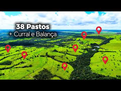 Oportunidade Única: Fazenda de Alto Rendimento com 1.702 Hectares em Luziânia - GO 🌾