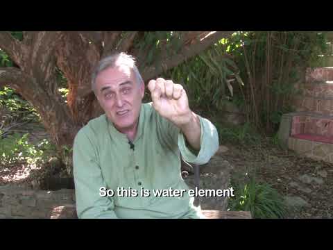 Leo Artese   Plantas de Poder