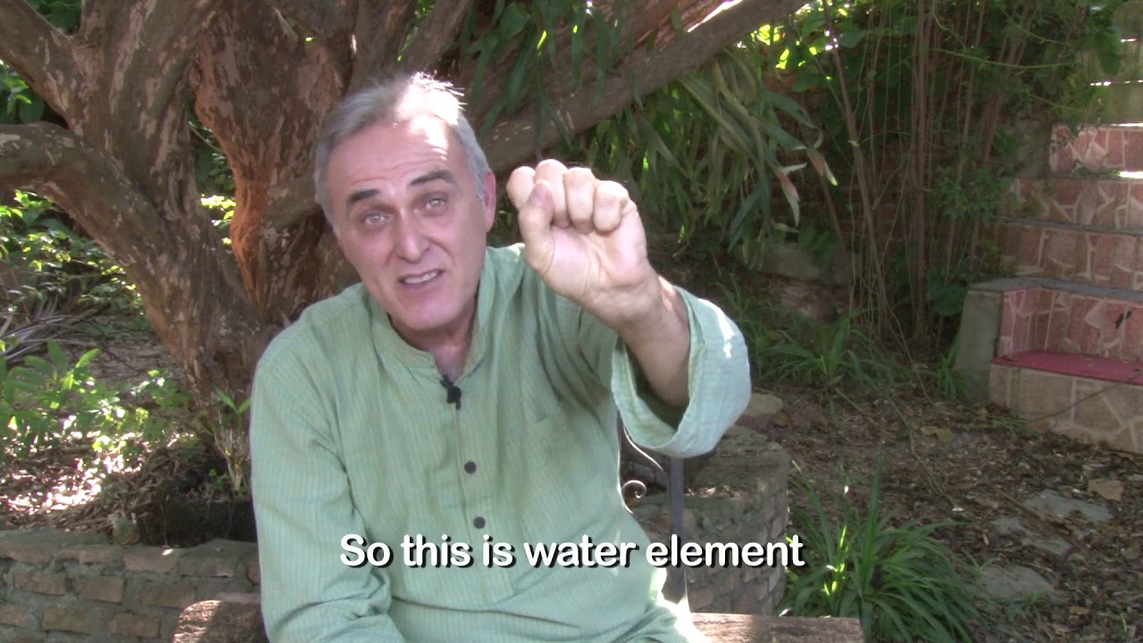 Leo Artese   Plantas de Poder