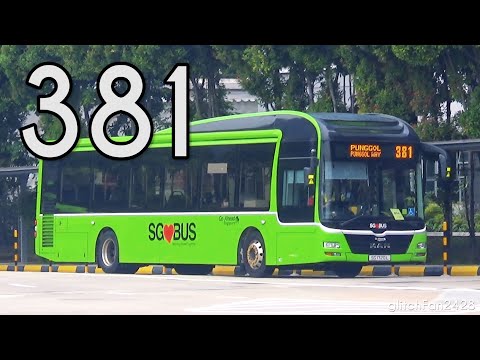 [G-AS] SG1720L on Service 381 -  MAN NL323F A22 Gemilang