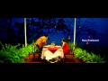 Nenu Sailaja Songs