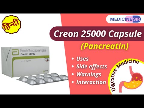 Pancreatin Powder IP / BP / USP
