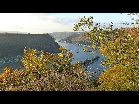 Wanderung von Sankt Goarshausen über den Dreiburgenblick zum Loreleyfelsen