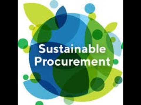 Esg Consultants Service