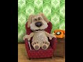 Talking Ben Reads The Arthur Season 7 Funding Credits
