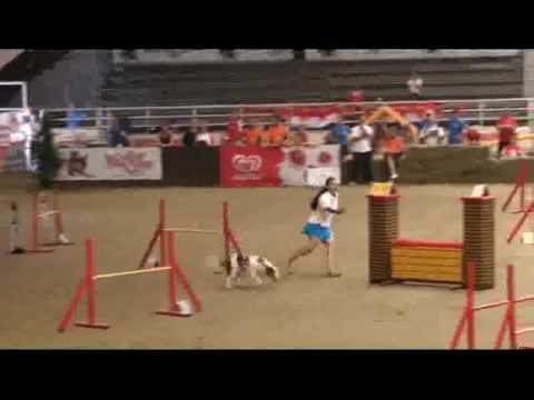 eli maffi jumping mondiale voghera 2008