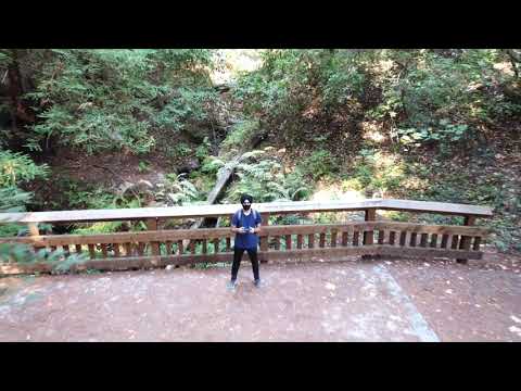 Alma Trail and Redwood Springs Trail Loop