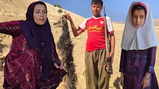 Bad thing happened to one of the Atabak goats 😥: It was torn apart by a wild animal