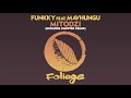 Funkky Feat Mavhungu Mitodzi Instrumental Mix