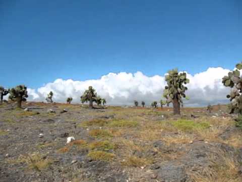 エクアドル ガラパゴス諸島の位置図.svg