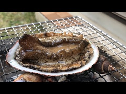 アワビが気持ち悪い？見た目がアレに似てる？味・形への口コミとともに紹介！| ちそう
