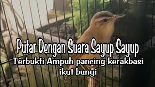 Download lagu DENGAN SUARA SAYUP SAYUP TERBUK MANJUR UNTUK TERAPI KERAK BASI ALIS HITAM GACOR DOR mp3