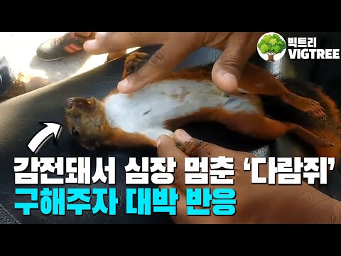아이콘