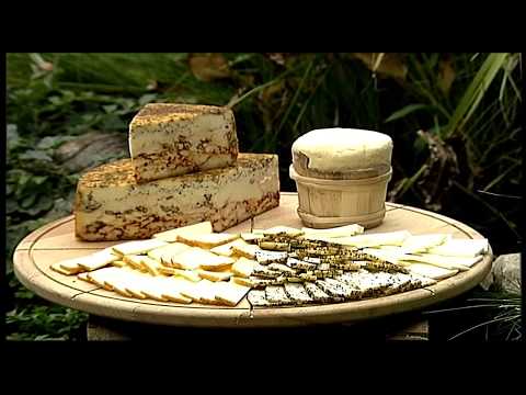 Nauka u selu: Biseri Vojvodine