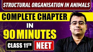 STRUCTURAL ORGANISATION IN ANIMALS in 90 Minutes | Full Chapter Revision | Class 11 NEET