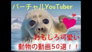 動物たちのおもしろ可愛い動画50選！！【バーチャルYouTuber】