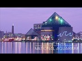 Baltimore Inner Harbor Aquarium Ticket Prices