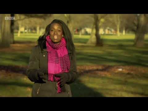 BBC News item on Councils’ exploitation of London Parks