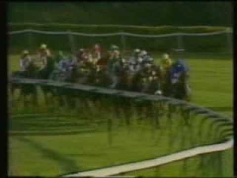 Carrol House, Arc 1989