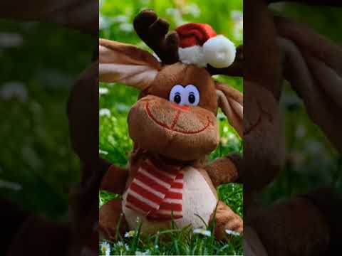 Monkey funny dance #funnyshorts #funny #viralshort #kidsfunnyshortvideo #monkeydance #monkey