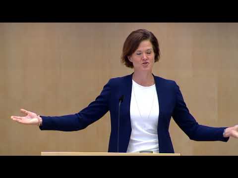 Anna Kinberg Batras avskedstal i riksdagen