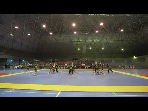 Serpencheers Cheerleading - V Intermed BA 2019