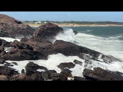 Punta del Este, Punta Ballena, 18.01.2026