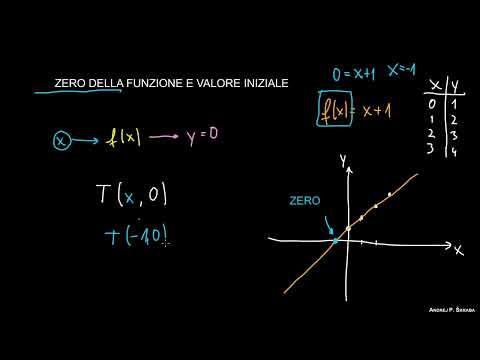 Zeri di una funzione e valore iniziale