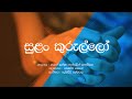 Sulan Kurullo / Harun Lanthra / Angalin Gunathilaka / Sinhala Lyrics / Old Sinhala Songs