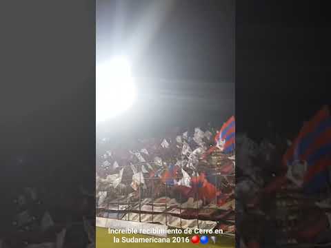 "La Hinchada de Cerro en la Sudamericana " Barra: La Plaza y Comando • Club: Cerro Porteño