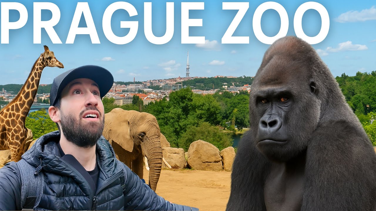 A family embarks on a visit to Prague Zoo.