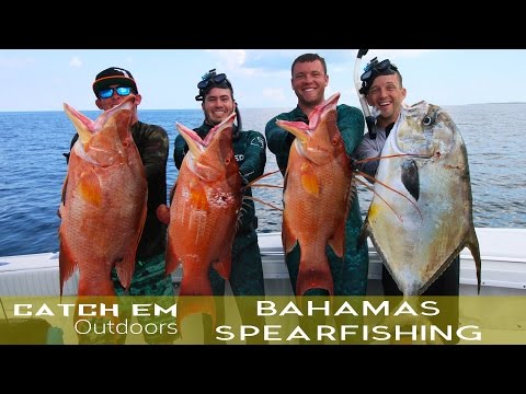 Bahamas Spearfishing and Shark Attack 2016 HD