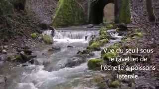 preview picture of video 'Valenne  un ruisseau frayère à truite sous les projecteurs'