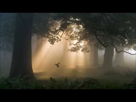 Ferven - Without Them