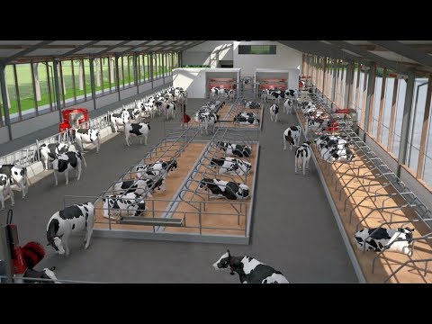 About Lely - Lely bright farming solutions - EN